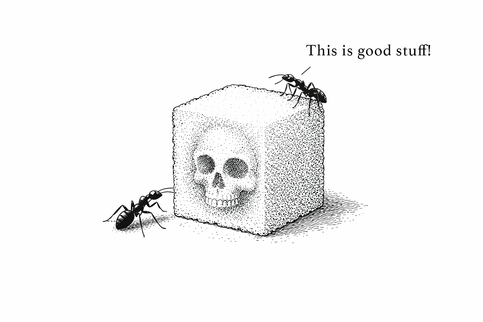 Ants drawn to a sugar cube with a skull inside — a metaphor for scams that look too good to be true